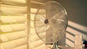 Oscillating Fan For Your Home - netflix