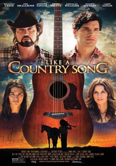 Like a Country Song - amazon prime