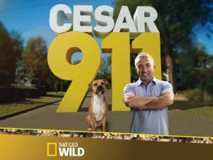 Cesar 911 - TV Series