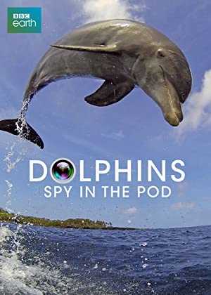 Dolphins: Spy in the Pod - netflix