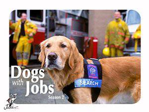 Dogs with Jobs - netflix