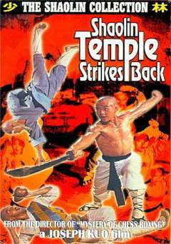 Shaolin Temple Strikes Back