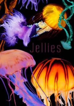 Jellies - netflix