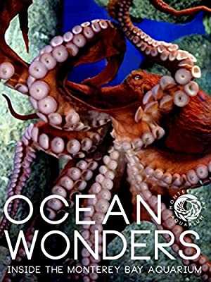 Ocean Wonders - Movie