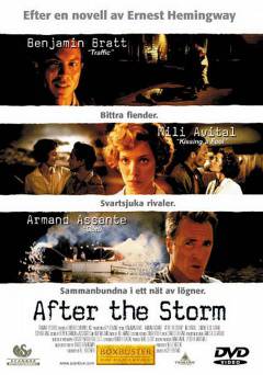 After the Storm - Movie