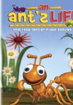 An Ants Life - Movie