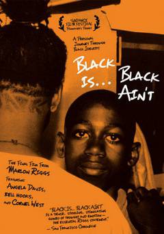 Black Is...Black Aint - Movie