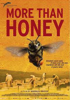 More Than Honey - Movie