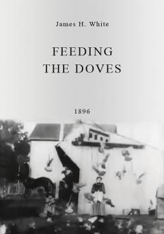 Feeding the Doves - fandor