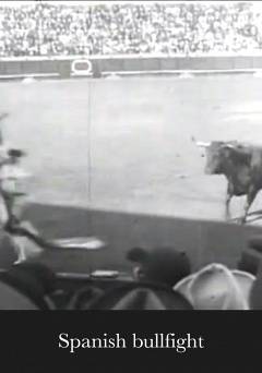 Spanish Bullfight - fandor