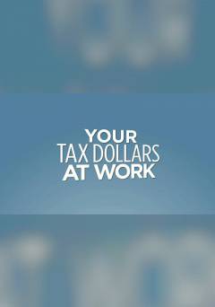 Your Tax Dollars at Work - fandor