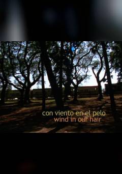 Wind in Our Hair - fandor