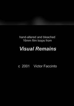 Visual Remains - fandor
