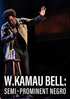W. Kamau Bell: Semi-Prominent Negro - hulu plus