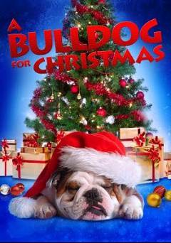 A Bulldog For Christmas