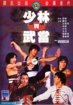 Two Champions of Shaolin - Movie