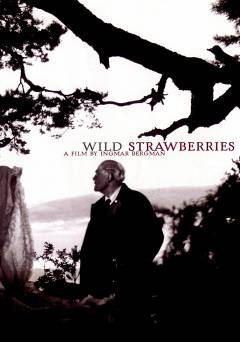 Wild Strawberries - film struck