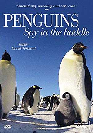 Penguins: Spy in the Huddle - netflix