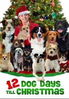 12 Dog Days Till Christmas