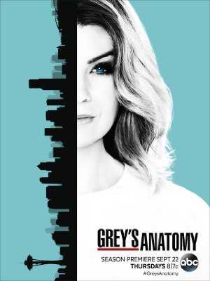 Greys Anatomy - HULU plus