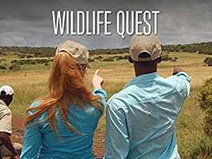 Wildlife Quest - netflix