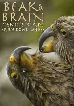 Beak & Brain: Genius Birds From Down Under - Movie