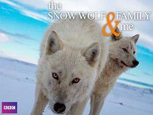 Snow Wolf Family and Me - netflix
