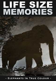 Life Size Memories: Elephants in True Colour - Movie