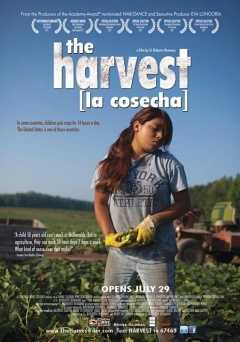 The Harvest/La Cosecha - amazon prime