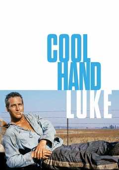 Cool Hand Luke - Movie
