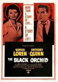 The Black Orchid - Movie
