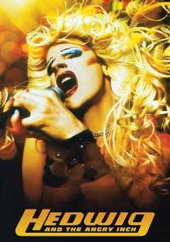 Hedwig and the Angry Inch - film struck