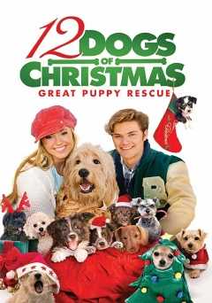 12 Dogs of Christmas: Great Puppy Rescue - vudu
