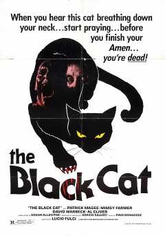 The Black Cat - Movie