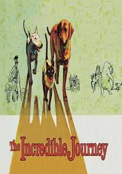 The Incredible Journey - Movie
