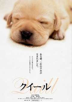 Quill: The Life of a Guide Dog - Movie