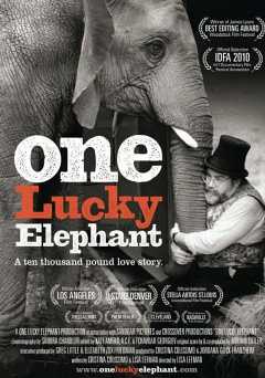 One Lucky Elephant