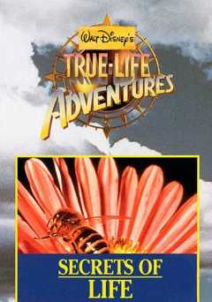 Secrets of Life - vudu