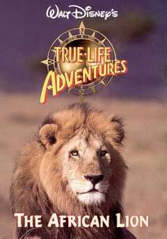 The African Lion - vudu