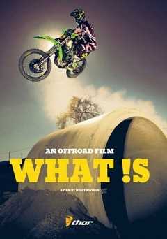 What Is - vudu