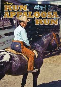 Run, Appaloosa, Run