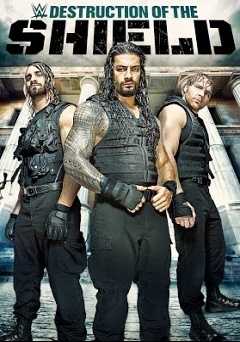 WWE: The Destruction of the Shield