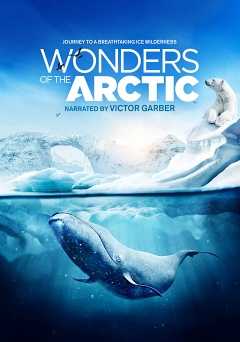 Wonders of the Arctic - Movie