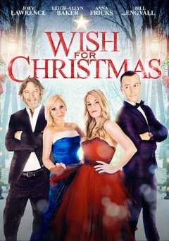 Wish for Christmas - vudu