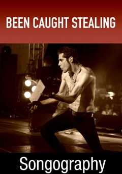 Songography: Been Caught Stealing - vudu