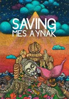 Saving Mes Aynak - vudu