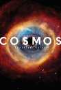 Cosmos: A Spacetime Odyssey - TV Series