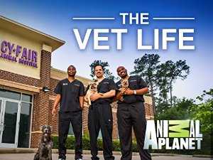 The Vet Life - vudu