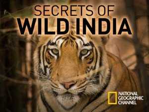 Secrets of Wild India