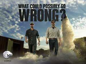 What Could Possibly Go Wrong? - vudu